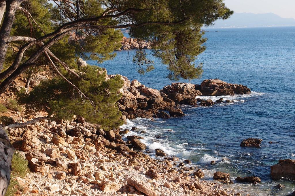 Au Coeur De La Ville Bandol Zewnętrze zdjęcie